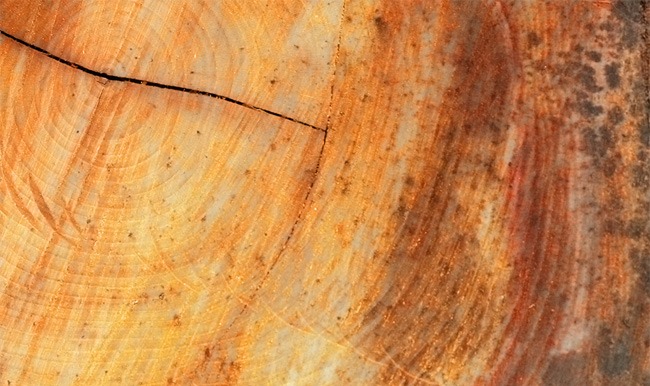 Free wood textures Texture 16 Free wood textures