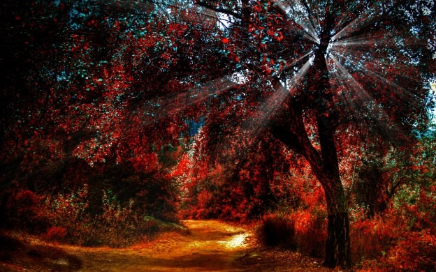 30+ Free Nature Wallpapers HD ray of light 1280x800 wallpaper 5645 e1360003198308 30+ Free Nature Wallpapers HD