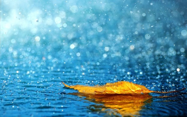 257040 e1368370275716 Beautiful Rain Wallpapers For Your Desktop