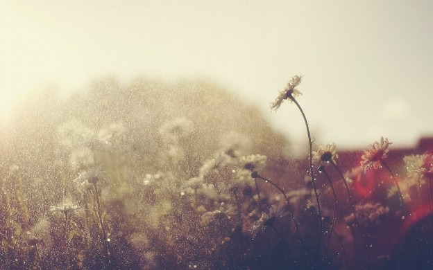almosamim hight definition rian wallpapers