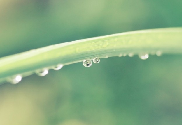 almosamim hight definition rian wallpapers