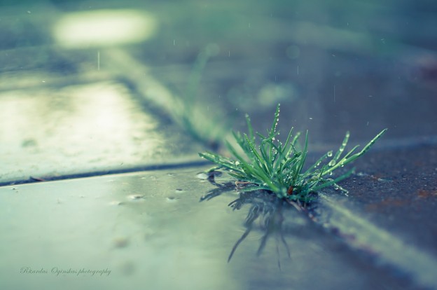 almosamim hight definition rian wallpapers