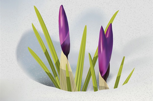 Illustrator_Tutorials_creativeswall_7