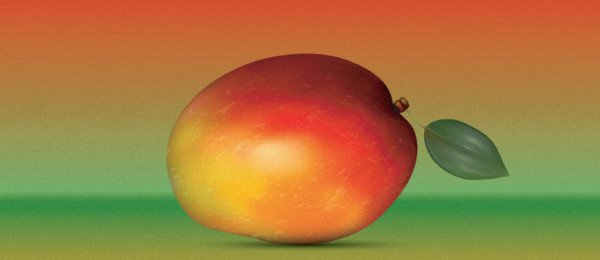 How to create a Realistic Mango. Excellent Adobe Illustrator Tutorials