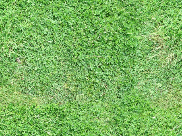 clovery grass texture tile by womblesmack d6islu4 e1399402503741 65+ Free High Resolution Grass Textures