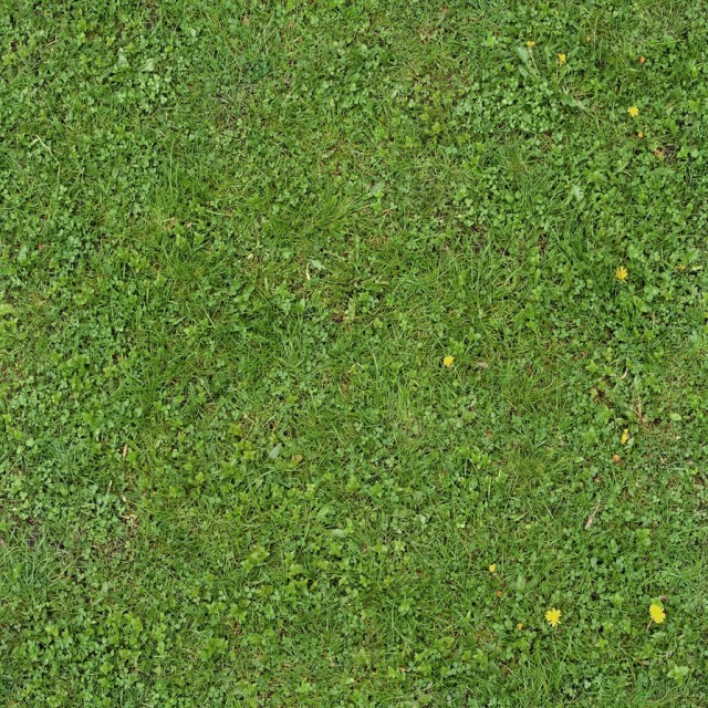 grass texture 10 e1399399340232 65+ Free High Resolution Grass Textures