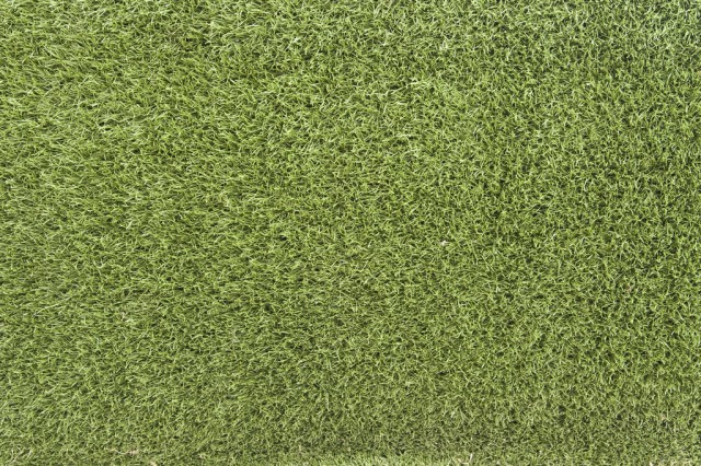 grass texture 11 e1399399433859 65+ Free High Resolution Grass Textures