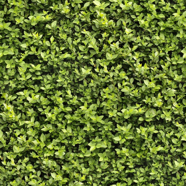 grass texture 12 e1399399596184 65+ Free High Resolution Grass Textures