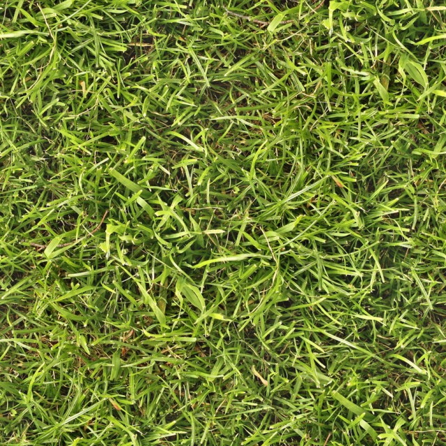 grass texture 13 e1399399710376 65+ Free High Resolution Grass Textures