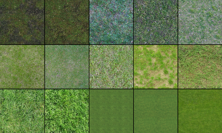 grass texture 17 65+ Free High Resolution Grass Textures