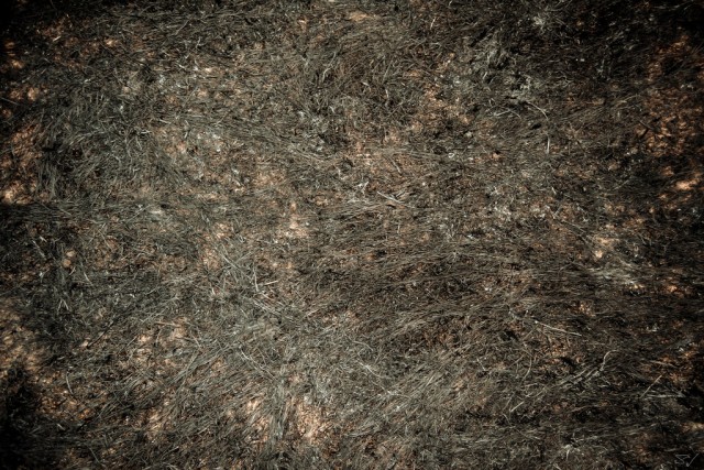 grass texture 27 e1399401486621 65+ Free High Resolution Grass Textures