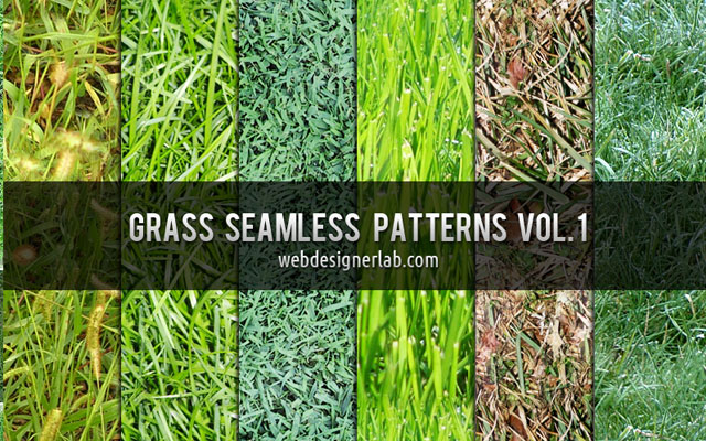 grass texture 04 65+ Free High Resolution Grass Textures