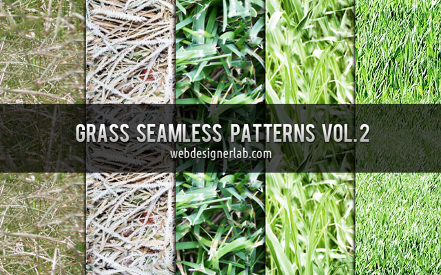 grass texture 05 65+ Free High Resolution Grass Textures