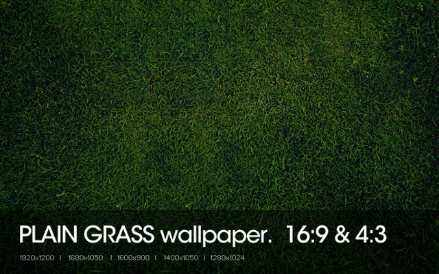 grass texture 07 65+ Free High Resolution Grass Textures