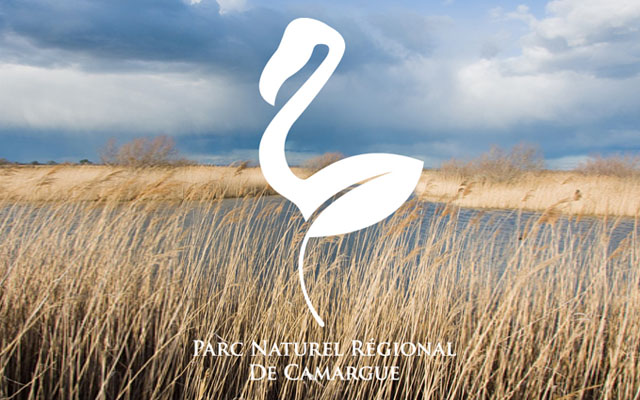 35 of Amazing Bird Logo Designs For Inspiration bird logo 16 35 of Amazing Bird Logo Designs For Inspiration