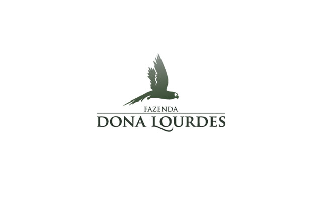 35 of Amazing Bird Logo Designs For Inspiration bird logo 19 35 of Amazing Bird Logo Designs For Inspiration