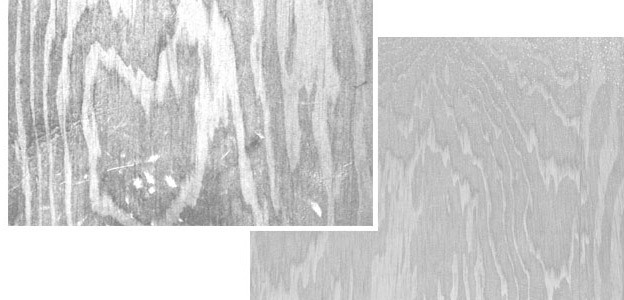 25 Wood Photoshop Brushes Photoshop Brush Set 21 - 25 Wood Photoshop Brushes