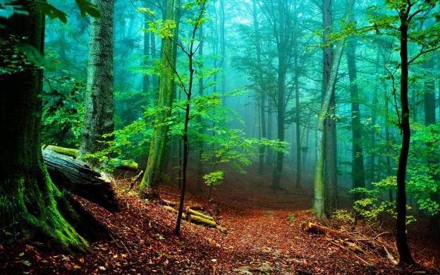 30+ Free Nature Wallpapers HD – Creatives Wall 30+ Free Nature Wallpapers HD – Creatives Wall