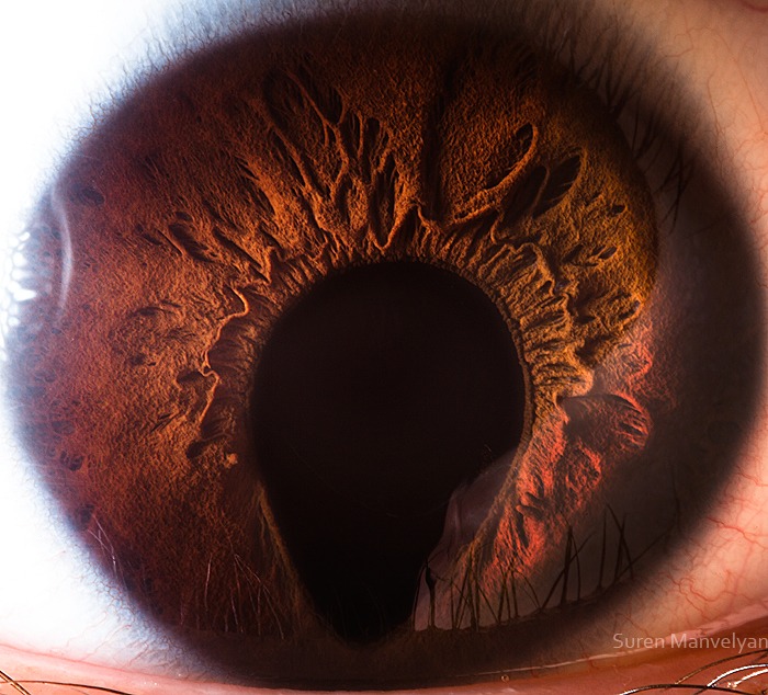 100 - Macro photography Of Human Eyes