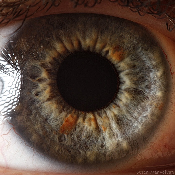 101 - Macro photography Of Human Eyes