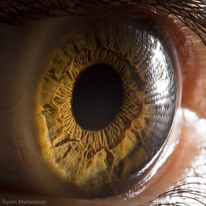 103 - Macro photography Of Human Eyes