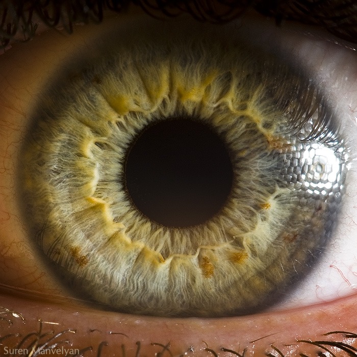 104 - Macro photography Of Human Eyes