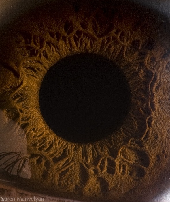106 - Macro photography Of Human Eyes