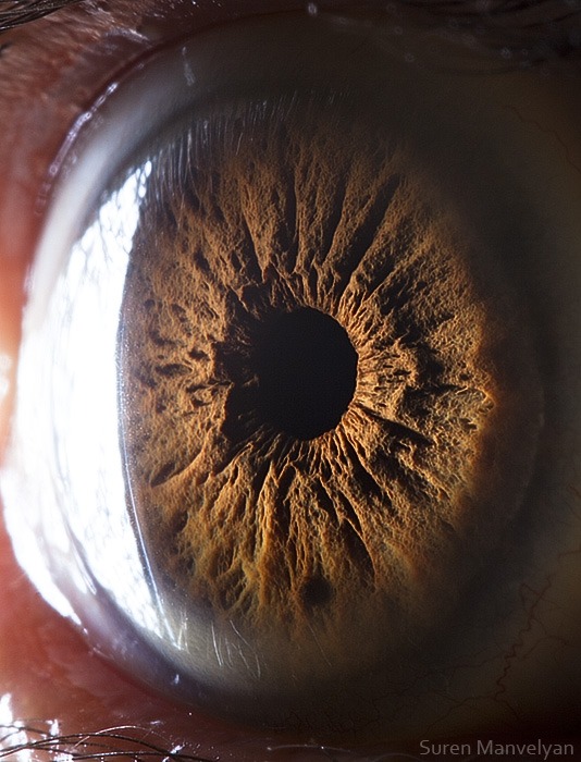 107 - Macro photography Of Human Eyes