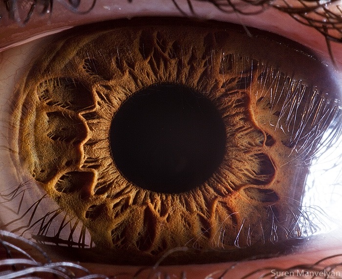 109 - Macro photography Of Human Eyes
