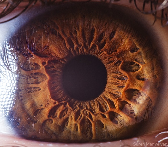 111 - Macro photography Of Human Eyes