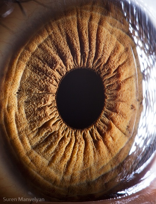 112 - Macro photography Of Human Eyes