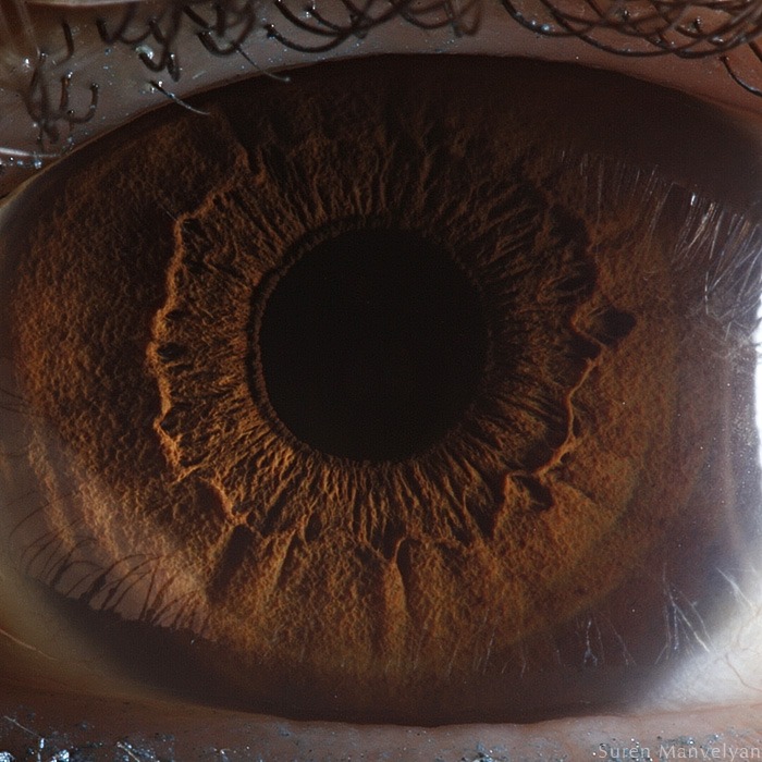 113 - Macro photography Of Human Eyes
