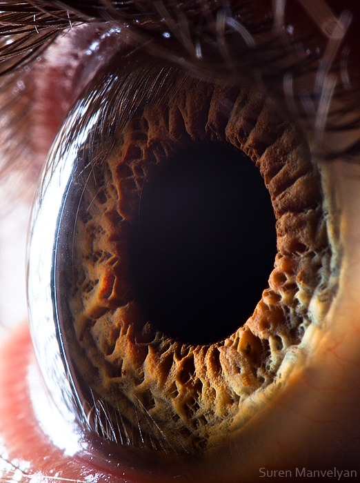 114 - Macro photography Of Human Eyes