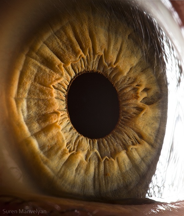 115 - Macro photography Of Human Eyes