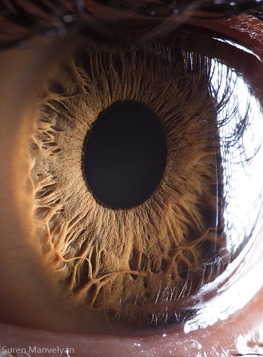 116 - Macro photography Of Human Eyes
