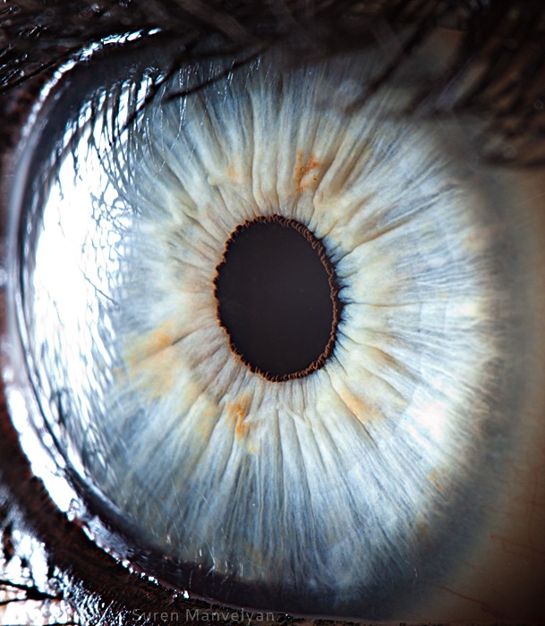 536 - Macro photography Of Human Eyes