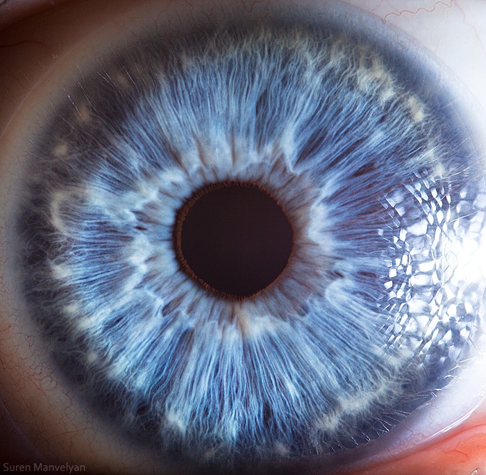 540 - Macro photography Of Human Eyes