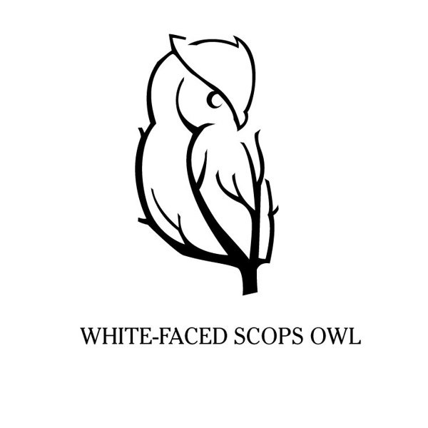 7993e6f38423bb973f936fb2e68caf45 - 35 Owl Logo designs For Your Inspiration