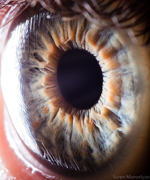 86 - Macro photography Of Human Eyes