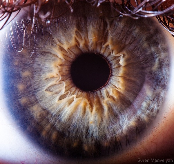 87 - Macro photography Of Human Eyes