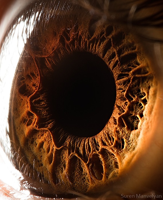 89 - Macro photography Of Human Eyes