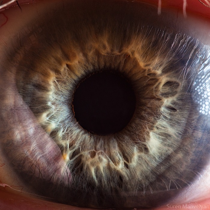 91 - Macro photography Of Human Eyes