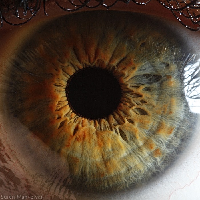 92 - Macro photography Of Human Eyes