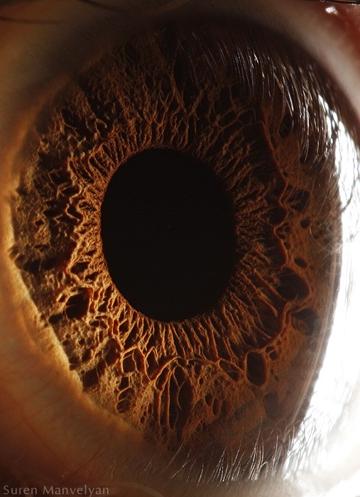 93 - Macro photography Of Human Eyes