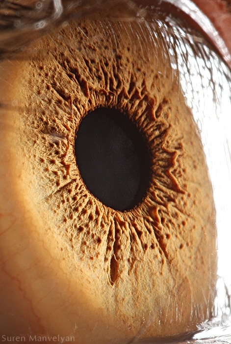 96 - Macro photography Of Human Eyes
