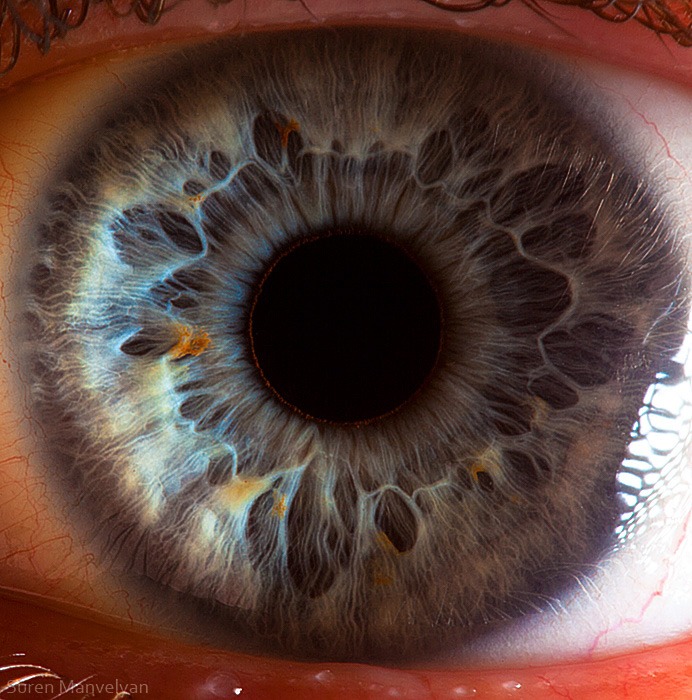 97 - Macro photography Of Human Eyes