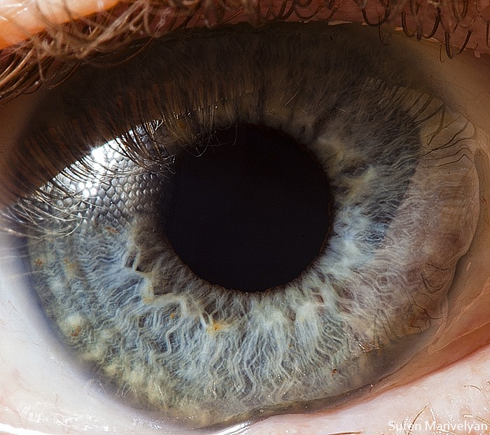 98 - Macro photography Of Human Eyes