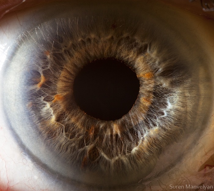 99 - Macro photography Of Human Eyes