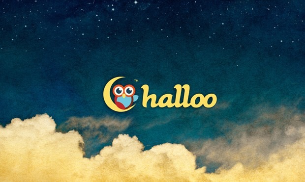 HALLOO B e1366526998331 - 35 Owl Logo designs For Your Inspiration