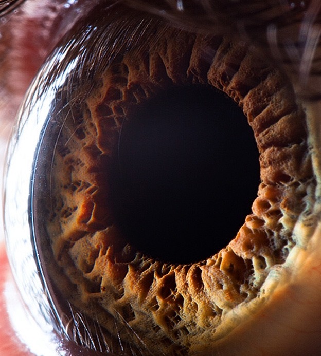 Macro photography Of Human Eyes